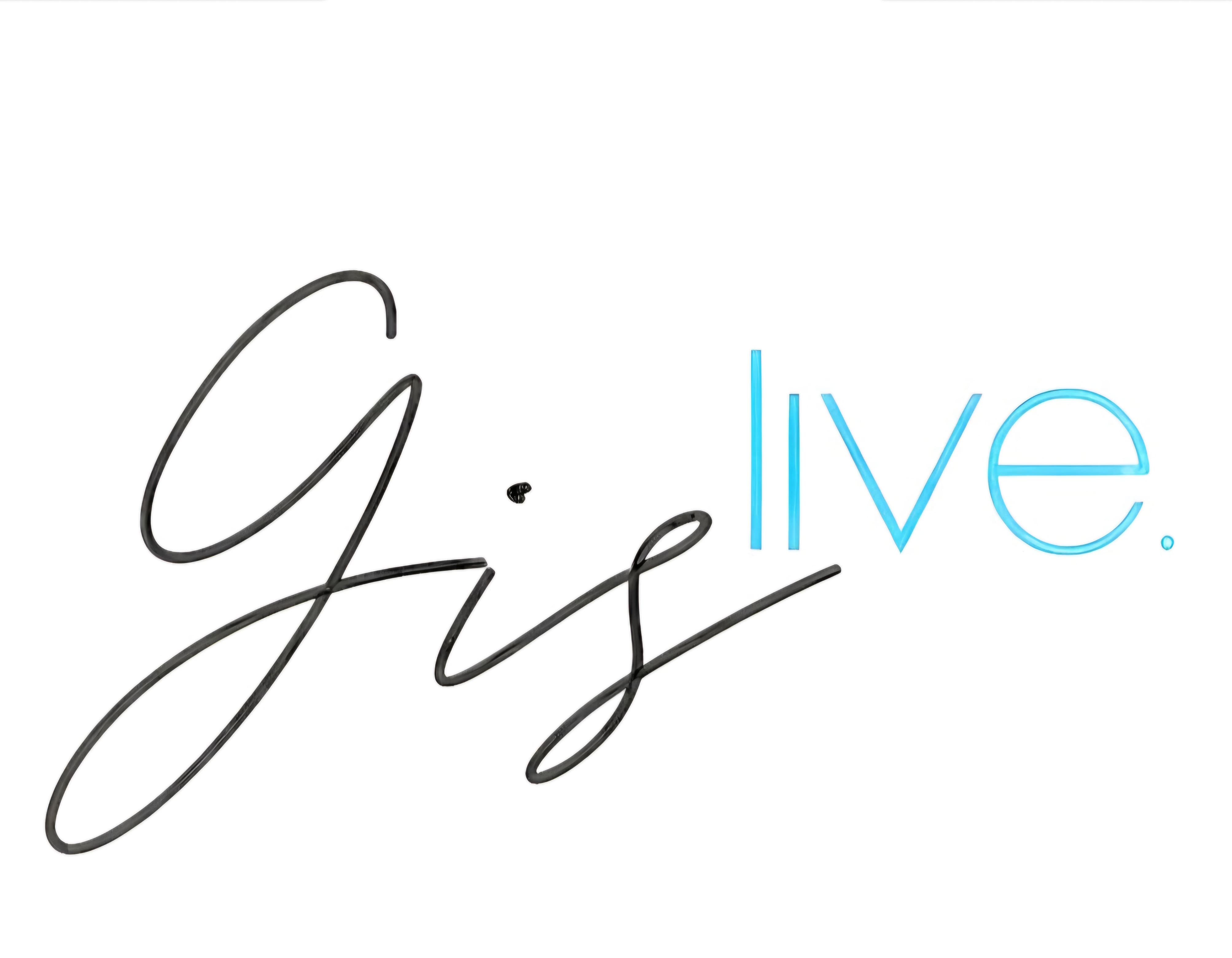 Logo GisLive